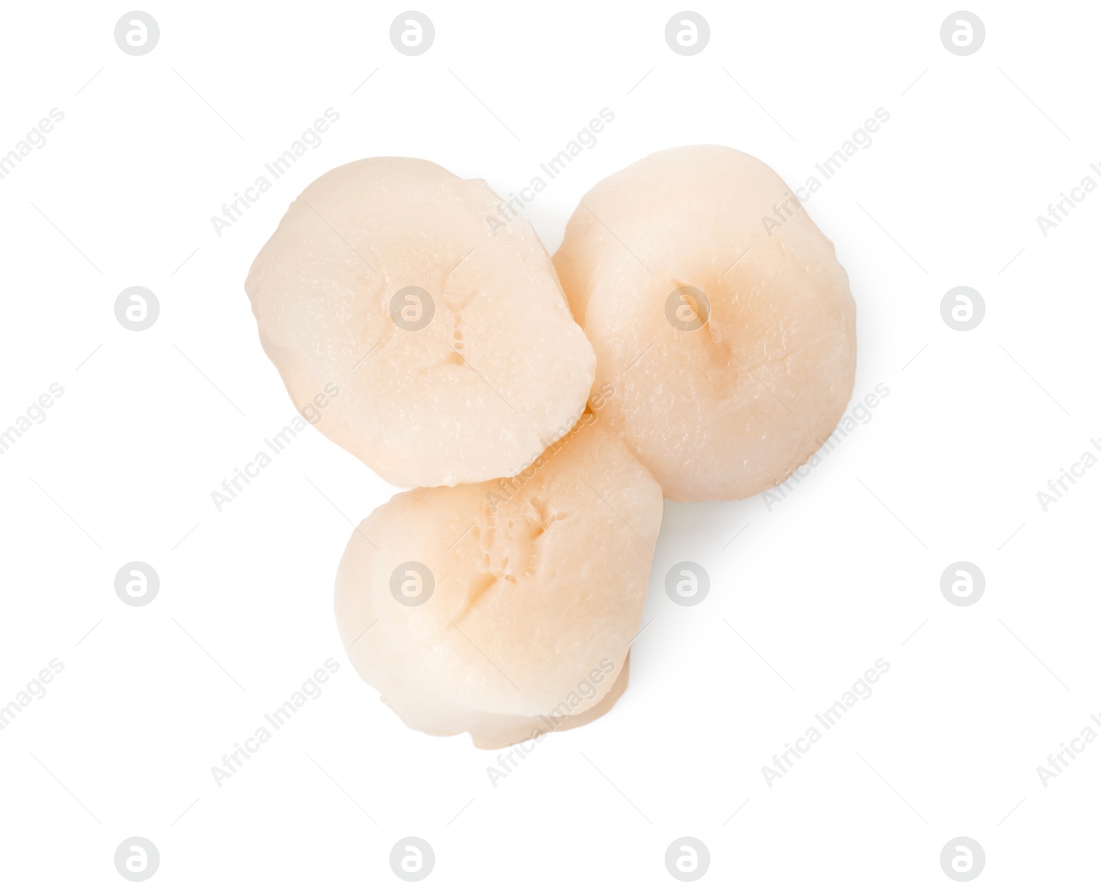 Photo of Fresh raw scallops isolated on white, top view