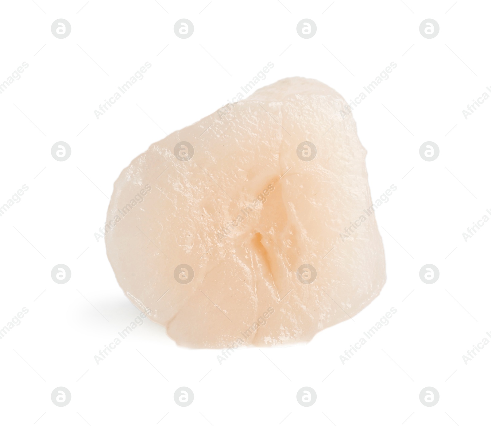 Photo of One fresh raw scallop isolated on white