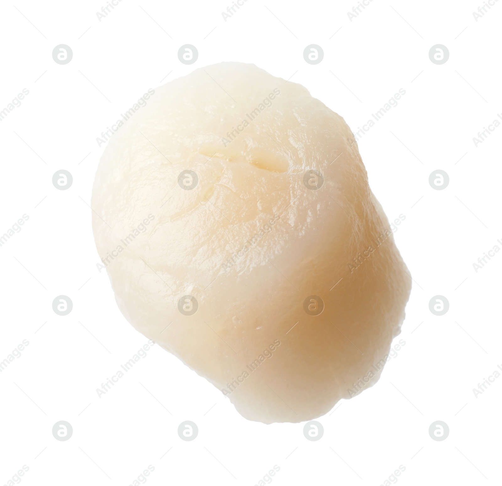 Photo of One fresh raw scallop isolated on white