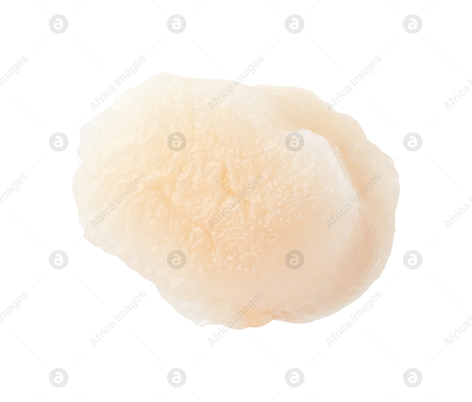 Photo of One fresh raw scallop isolated on white