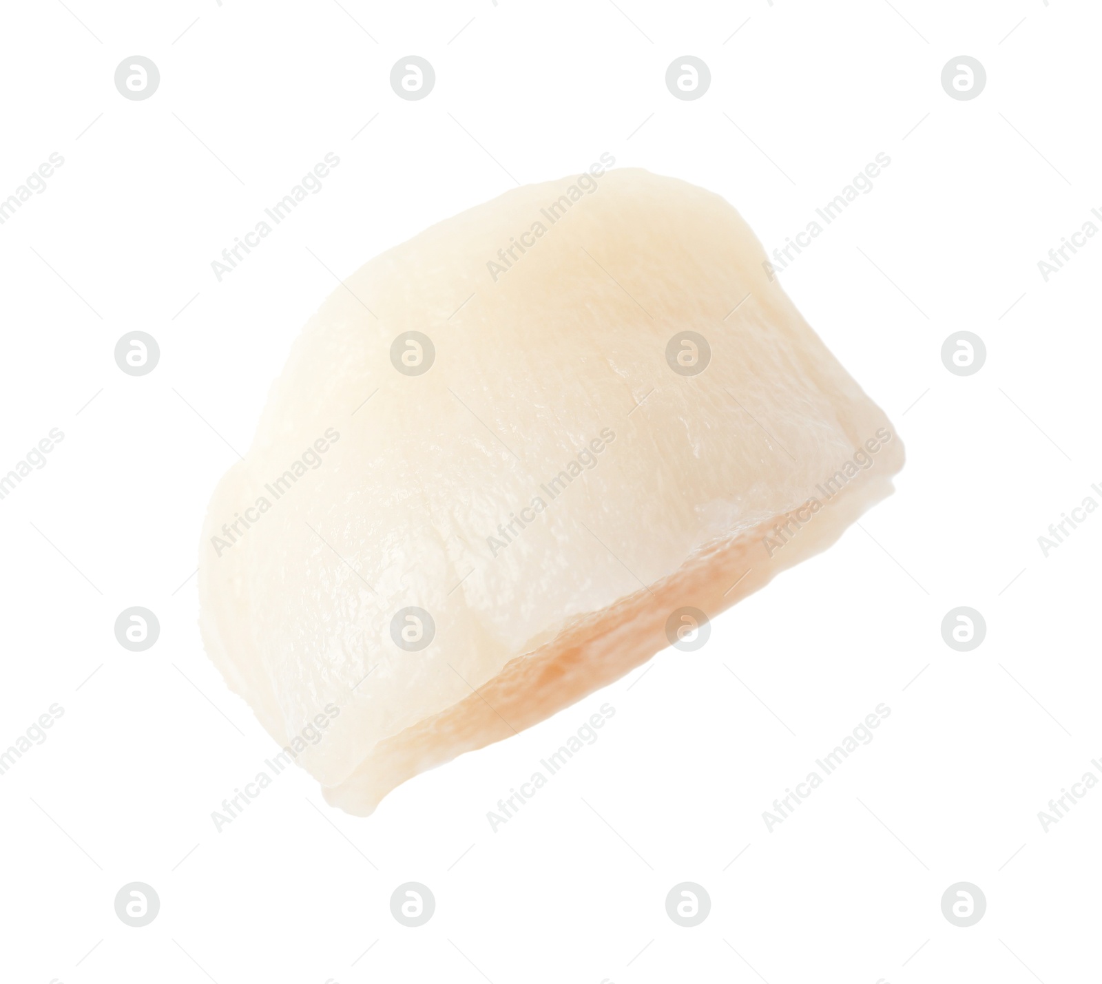 Photo of One fresh raw scallop isolated on white