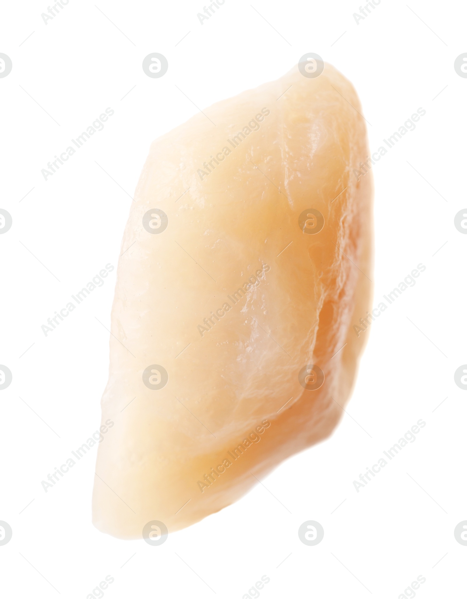 Photo of One fresh raw scallop isolated on white