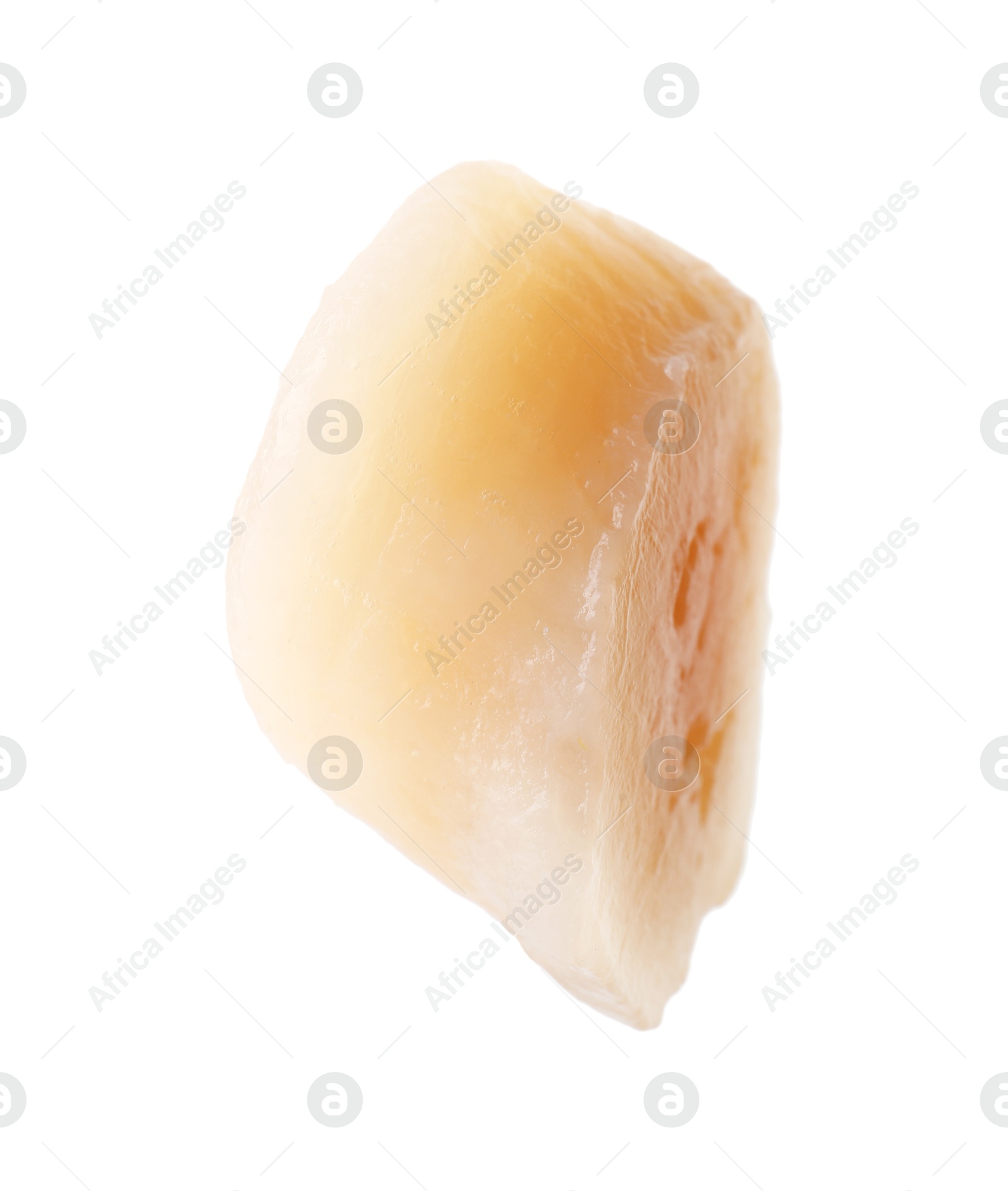 Photo of One fresh raw scallop isolated on white