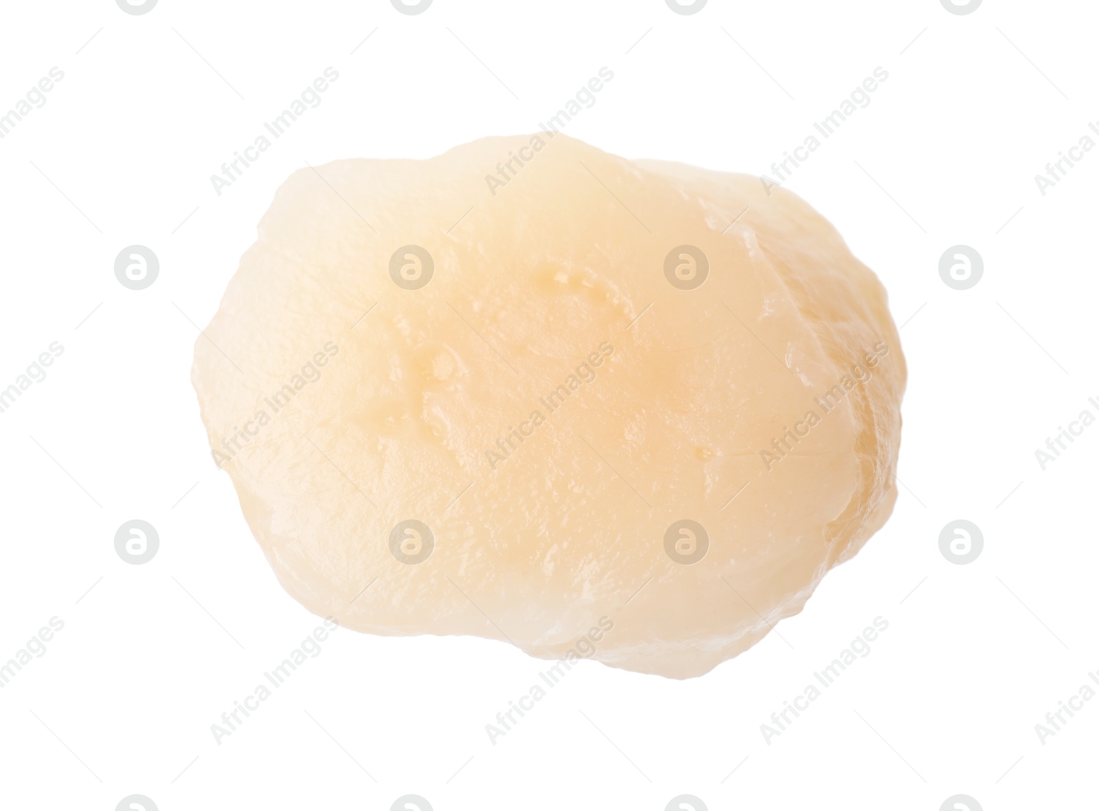 Photo of One fresh raw scallop isolated on white