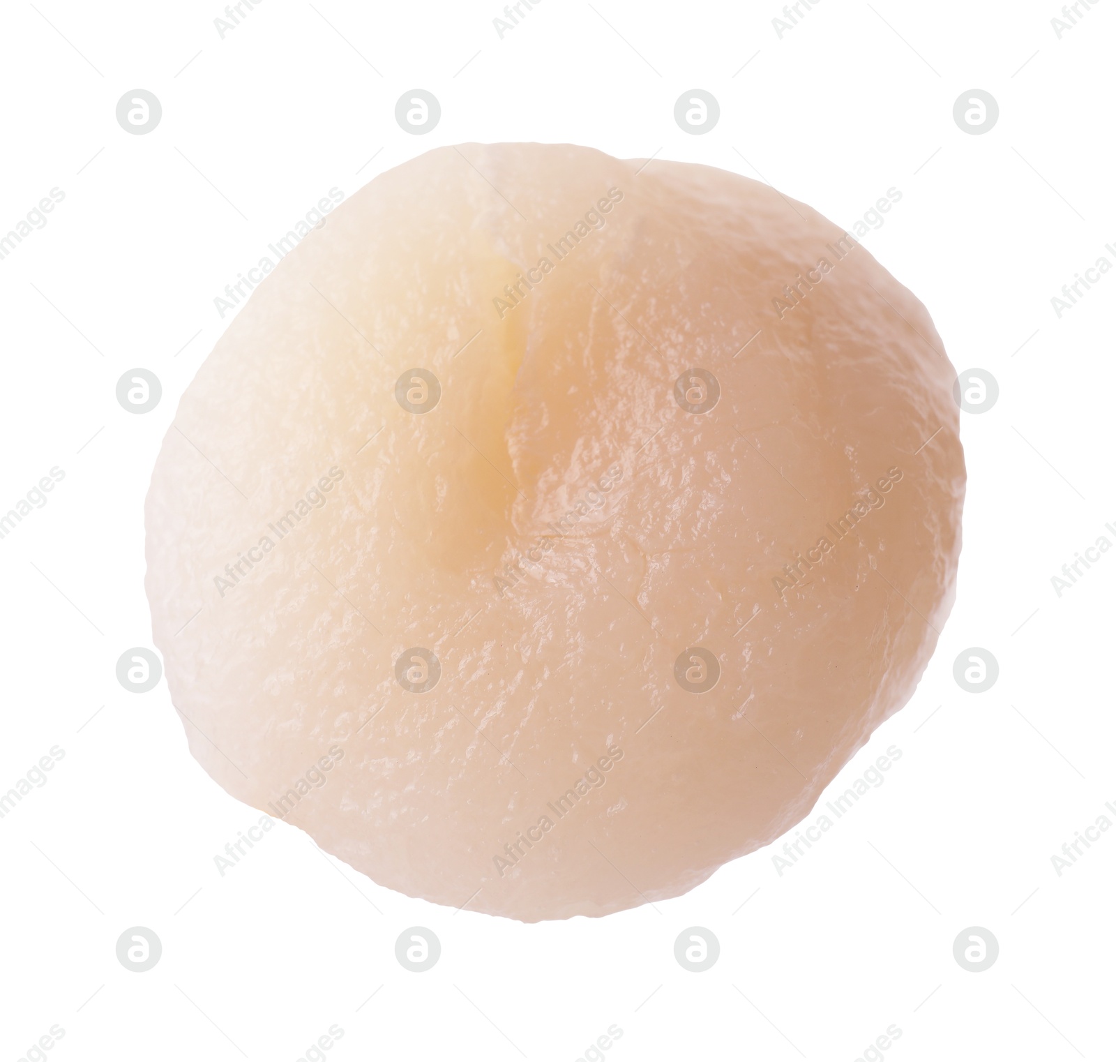 Photo of One fresh raw scallop isolated on white