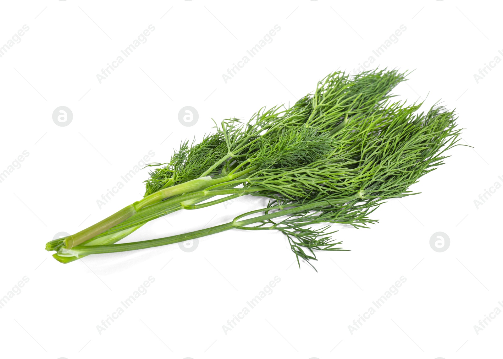 Photo of Sprigs of fresh green dill isolated on white