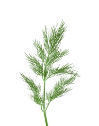 Photo of Sprig of fresh green dill isolated on white