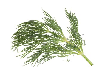 Photo of Sprig of fresh green dill isolated on white