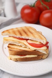 Pieces of toasted bread with melted cheese and tomato on table, closeup