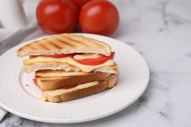 Photo of Pieces of toasted bread with melted cheese and tomato on light marble table, closeup