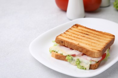 Tasty toasted bread with melted cheese, tomato and lettuce on light table. Space for text