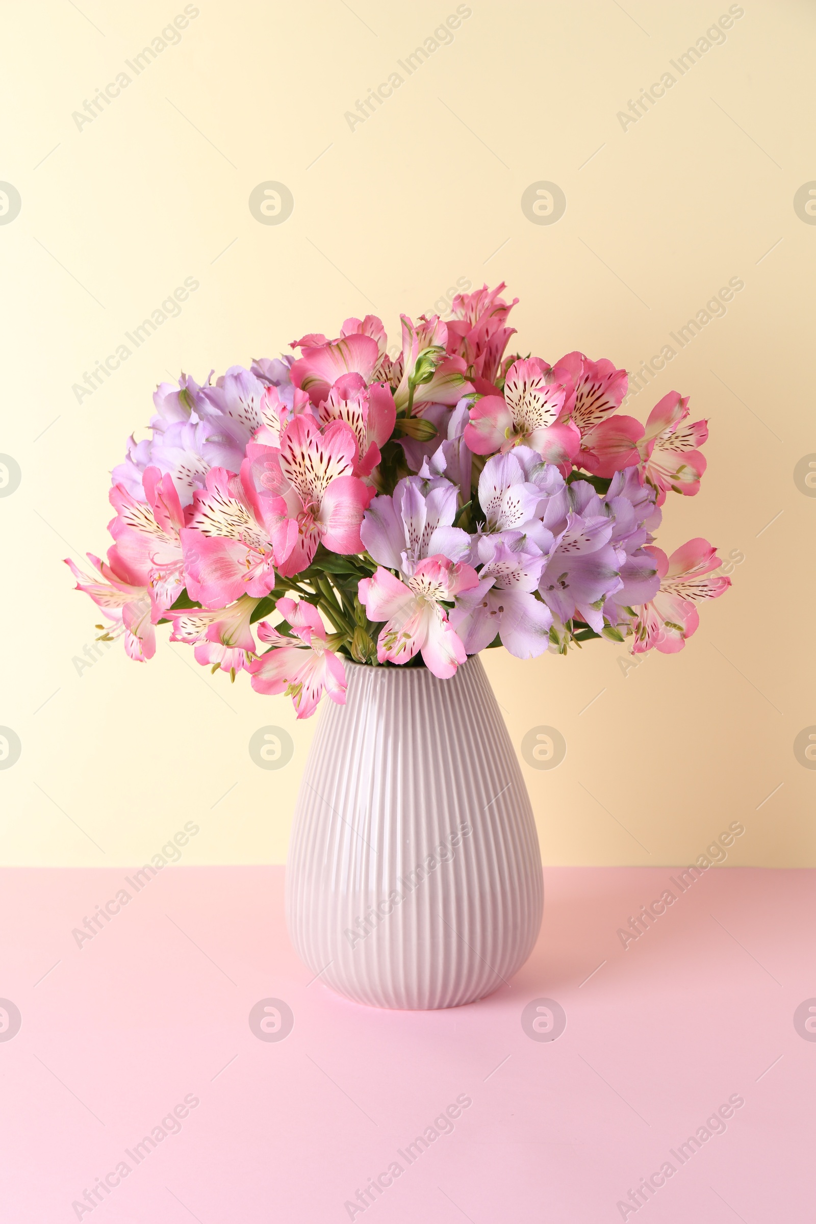 Photo of Beautiful alstroemeria flowers in vase on color background