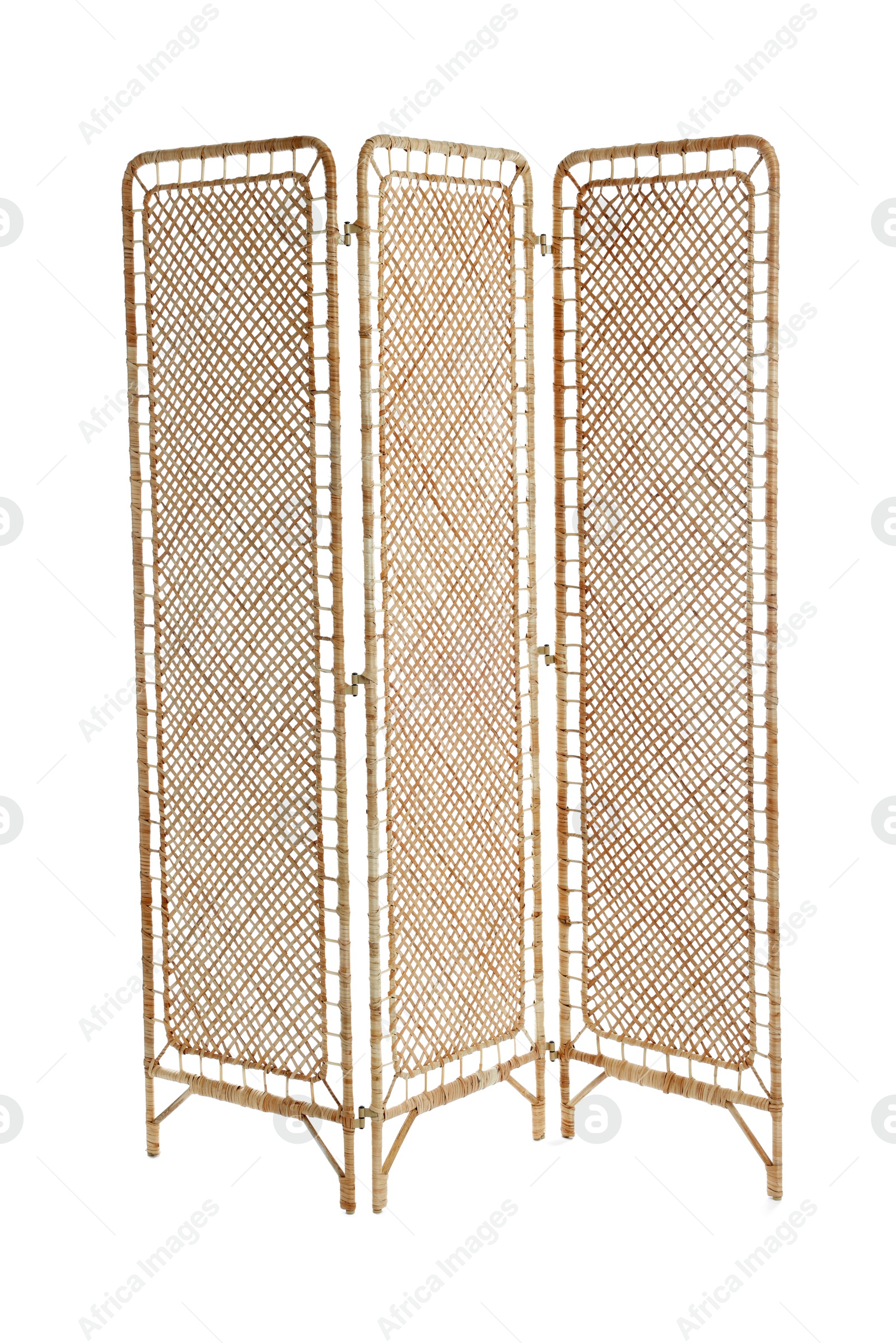 Photo of Folding screen isolated on white. Interior element