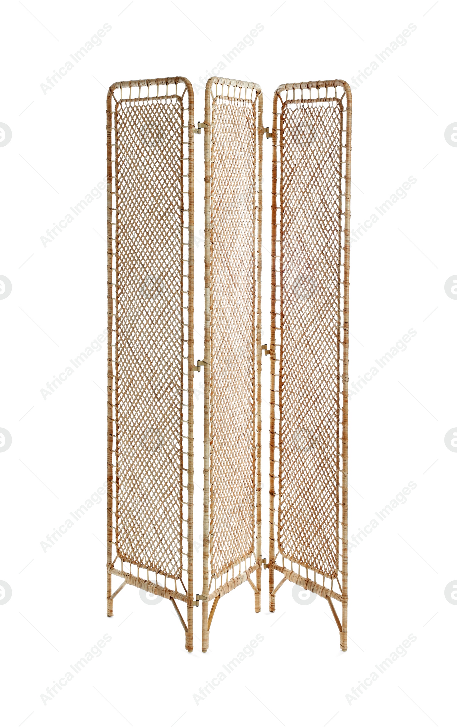 Photo of Folding screen isolated on white. Interior element