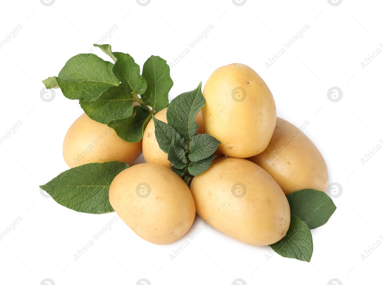 Photo of Fresh raw potatoes and green leaves isolated on white