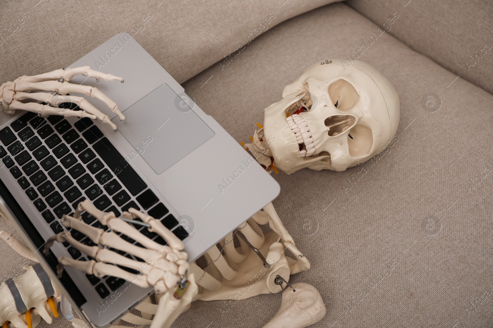 Photo of Waiting concept. Human skeleton with laptop on sofa