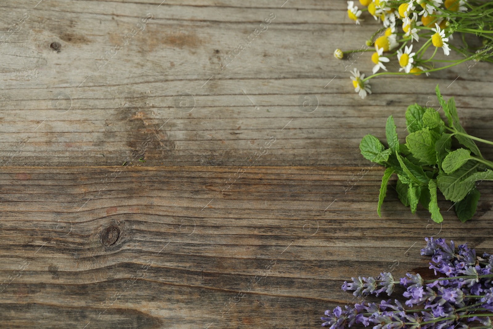 Photo of Beautiful chamomile flowers, lavender and mint on wooden table, space for text