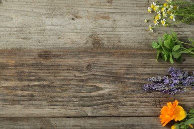 Photo of Beautiful calendula flowers, lavender, mint and chamomiles on wooden table, flat lay. Space for text