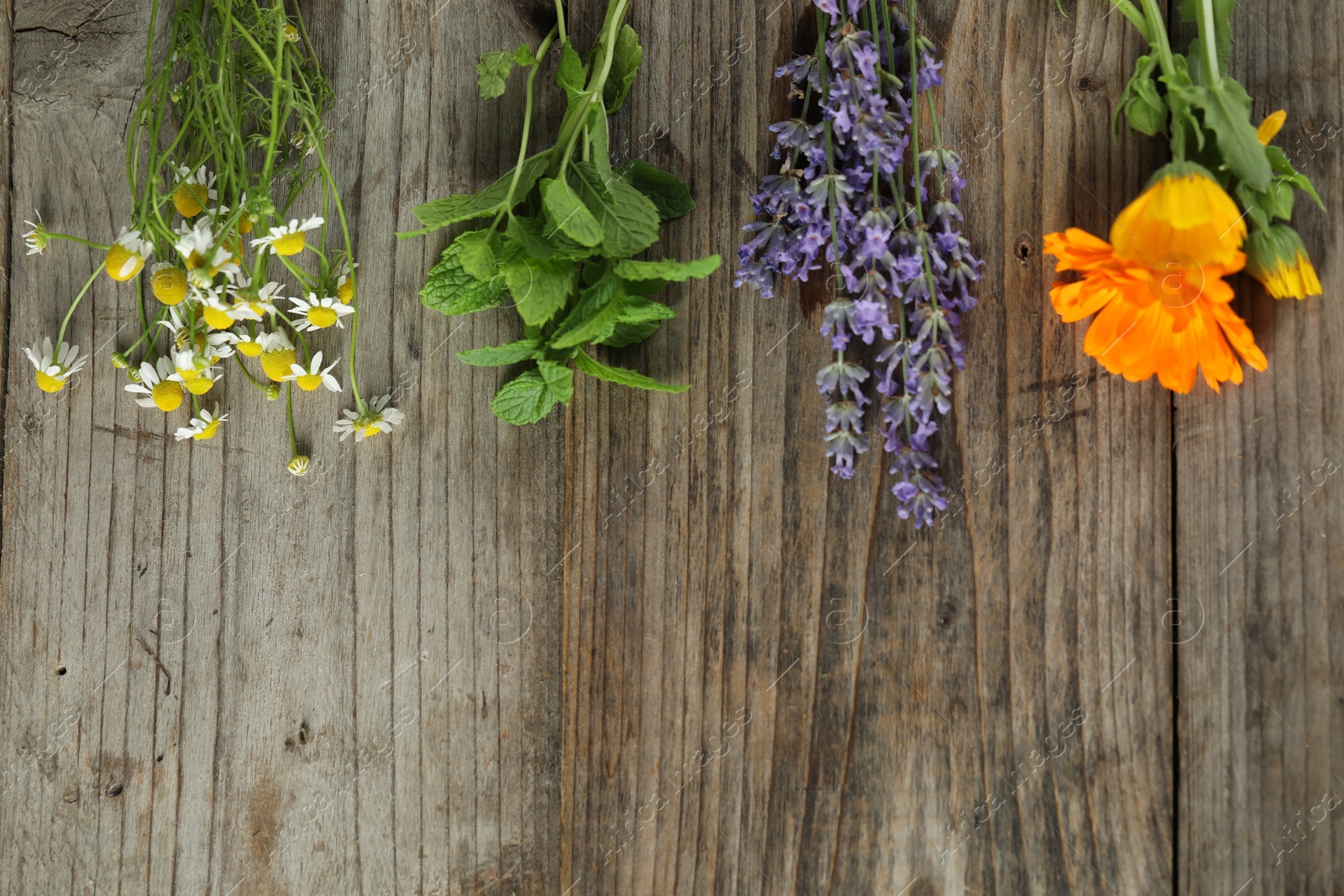 Photo of Beautiful calendula flowers, lavender, mint and chamomiles on wooden table, flat lay. Space for text