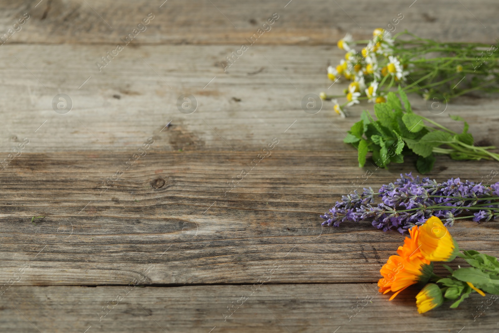 Photo of Beautiful calendula flowers, lavender, mint and chamomiles on wooden table, space for text