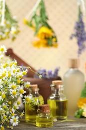 Photo of Beautiful chamomile flowers and bottles of essential oils on wooden table