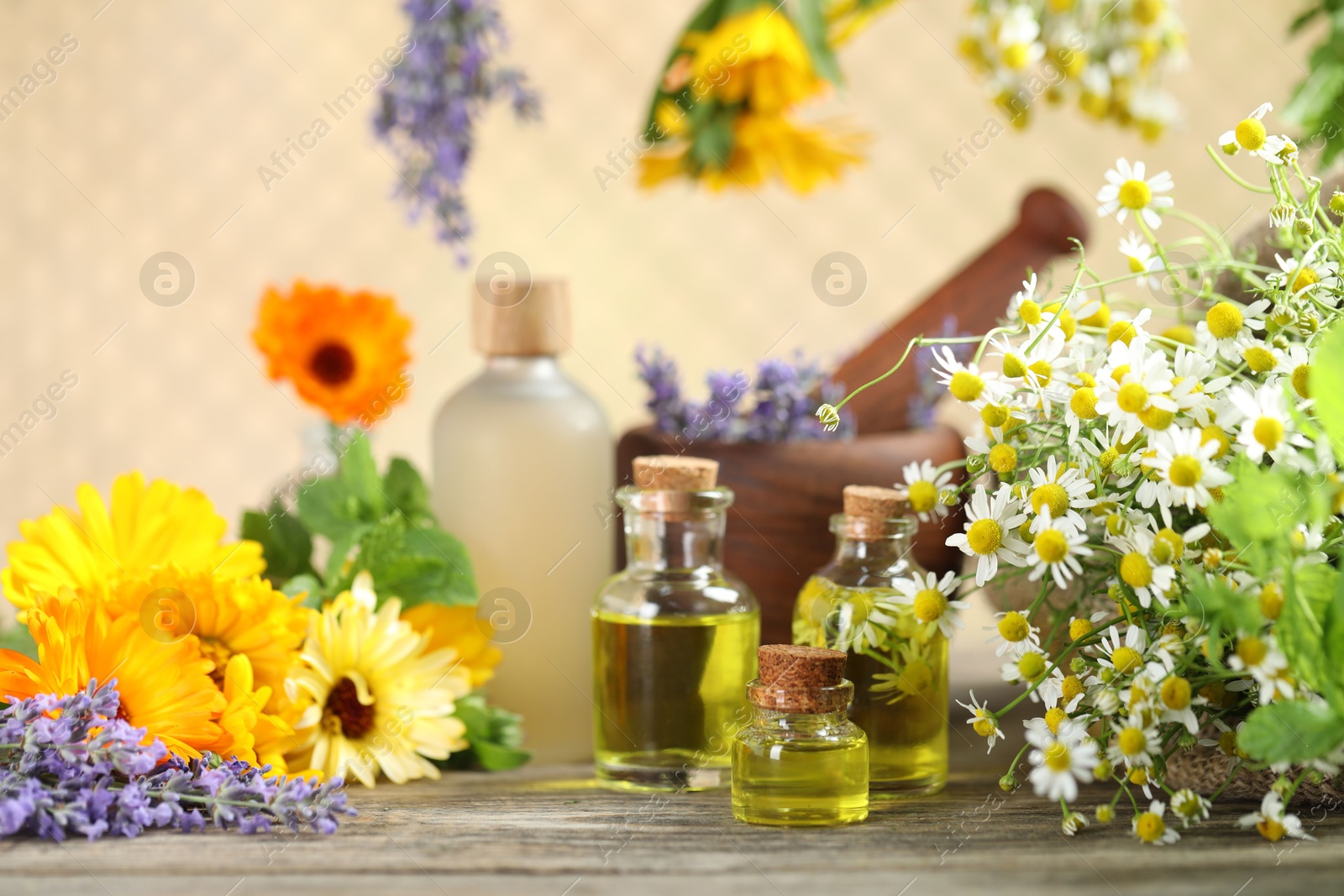 Photo of Different flowers, bottles of essential oils, mint mortar and pestle on wooden table