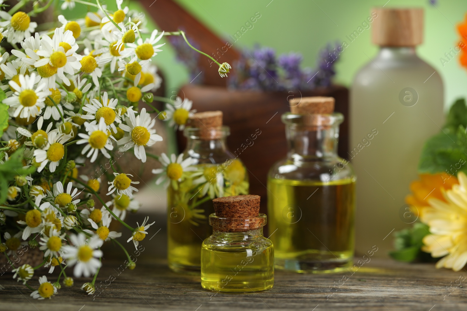 Photo of Beautiful chamomile flowers and bottles of essential oils on wooden table, closeup