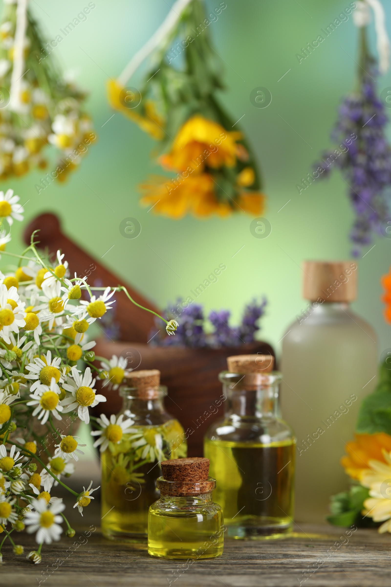 Photo of Beautiful chamomile flowers and bottles of essential oils on wooden table