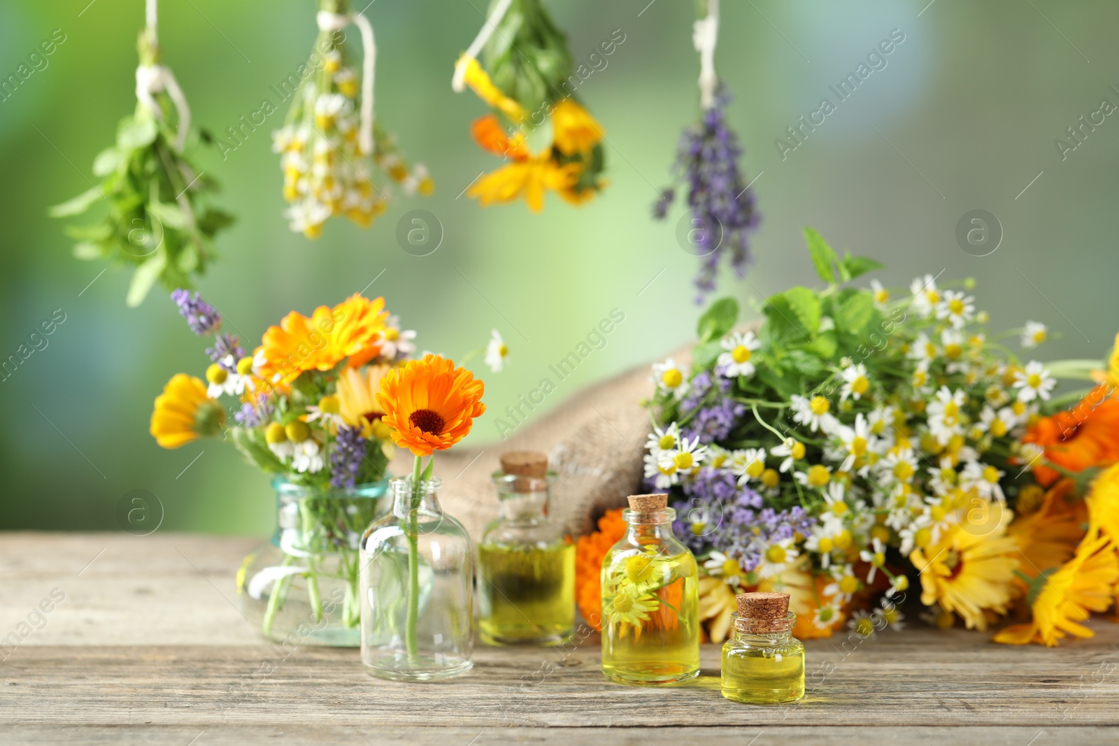 Photo of Different flowers and bottles of essential oils on wooden table