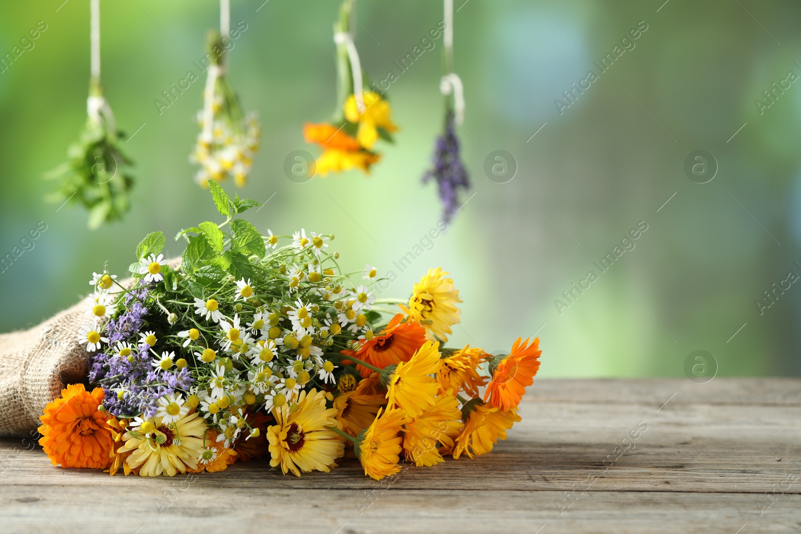 Photo of Beautiful calendula flowers, lavender, chamomiles and mint on wooden table, space for text