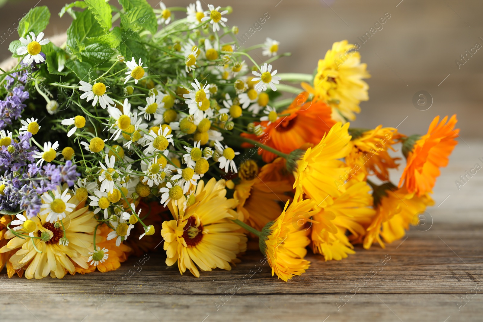 Photo of Beautiful calendula flowers, lavender, chamomiles and mint on wooden table