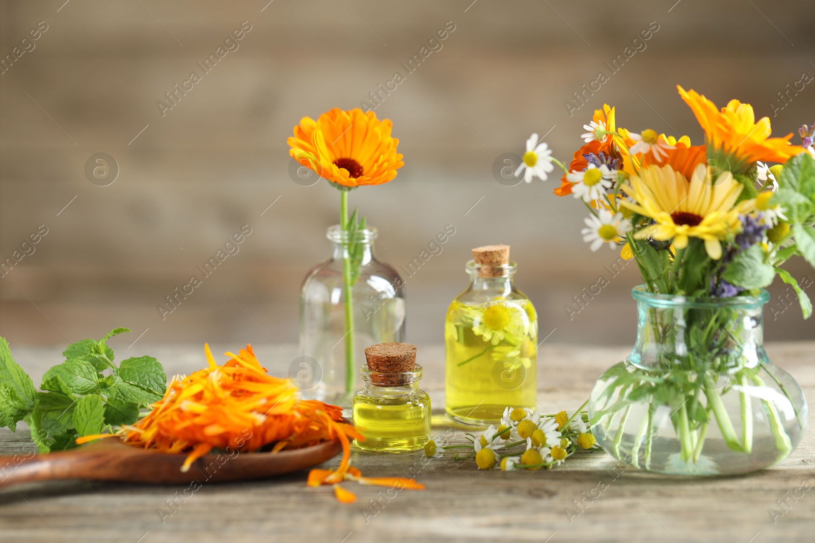 Photo of Different flowers, mint and bottles of essential oils on wooden table