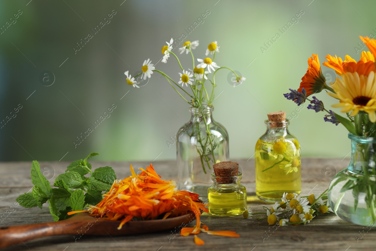 Photo of Different flowers, mint and bottles of essential oils on wooden table