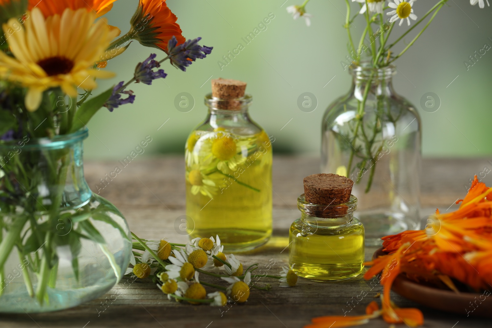 Photo of Different flowers and bottles of essential oils on wooden table