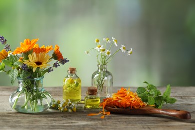 Photo of Different flowers, mint and bottles of essential oils on wooden table