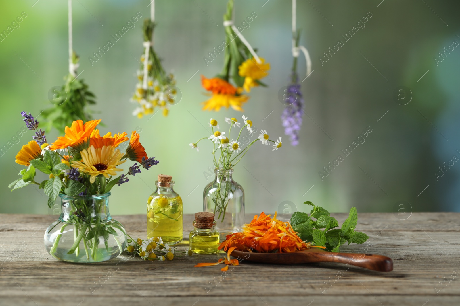 Photo of Different flowers, mint and bottles of essential oils on wooden table