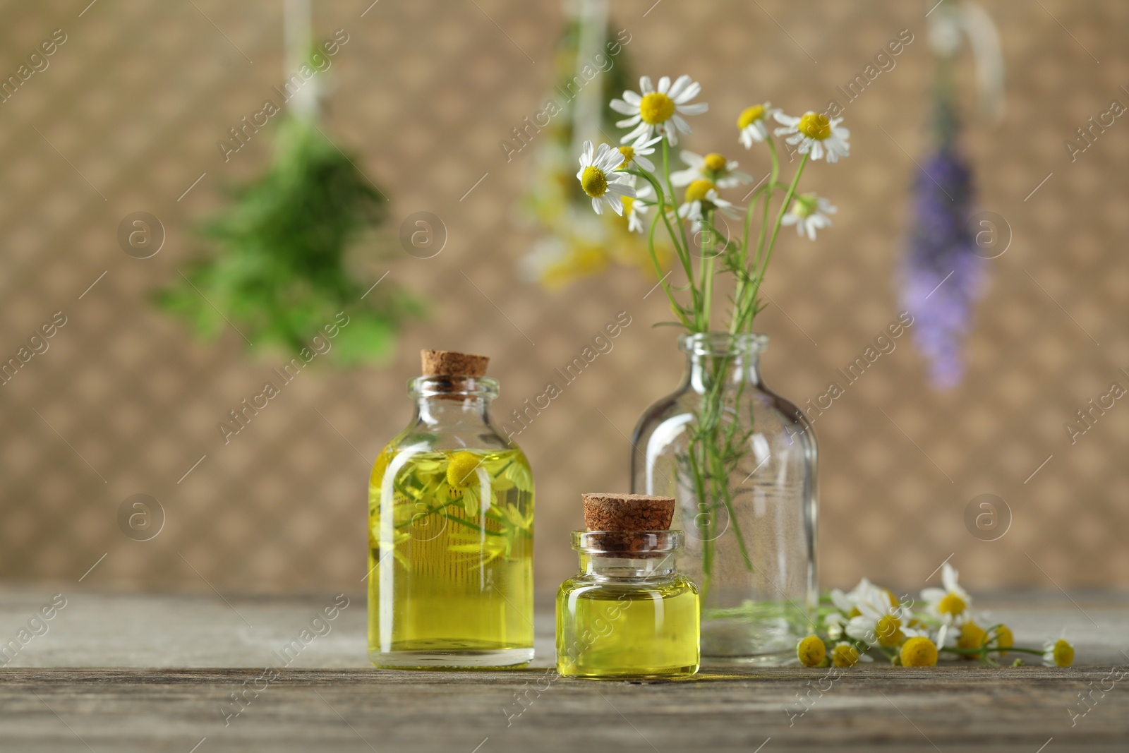 Photo of Beautiful chamomile flowers and bottles of essential oils on wooden table