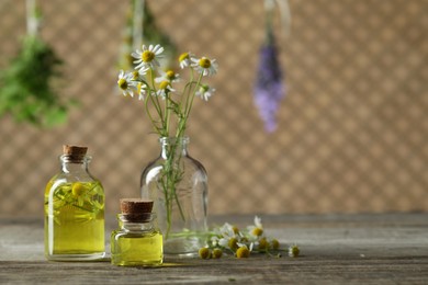 Photo of Beautiful chamomile flowers and bottles of essential oils on wooden table, space for text