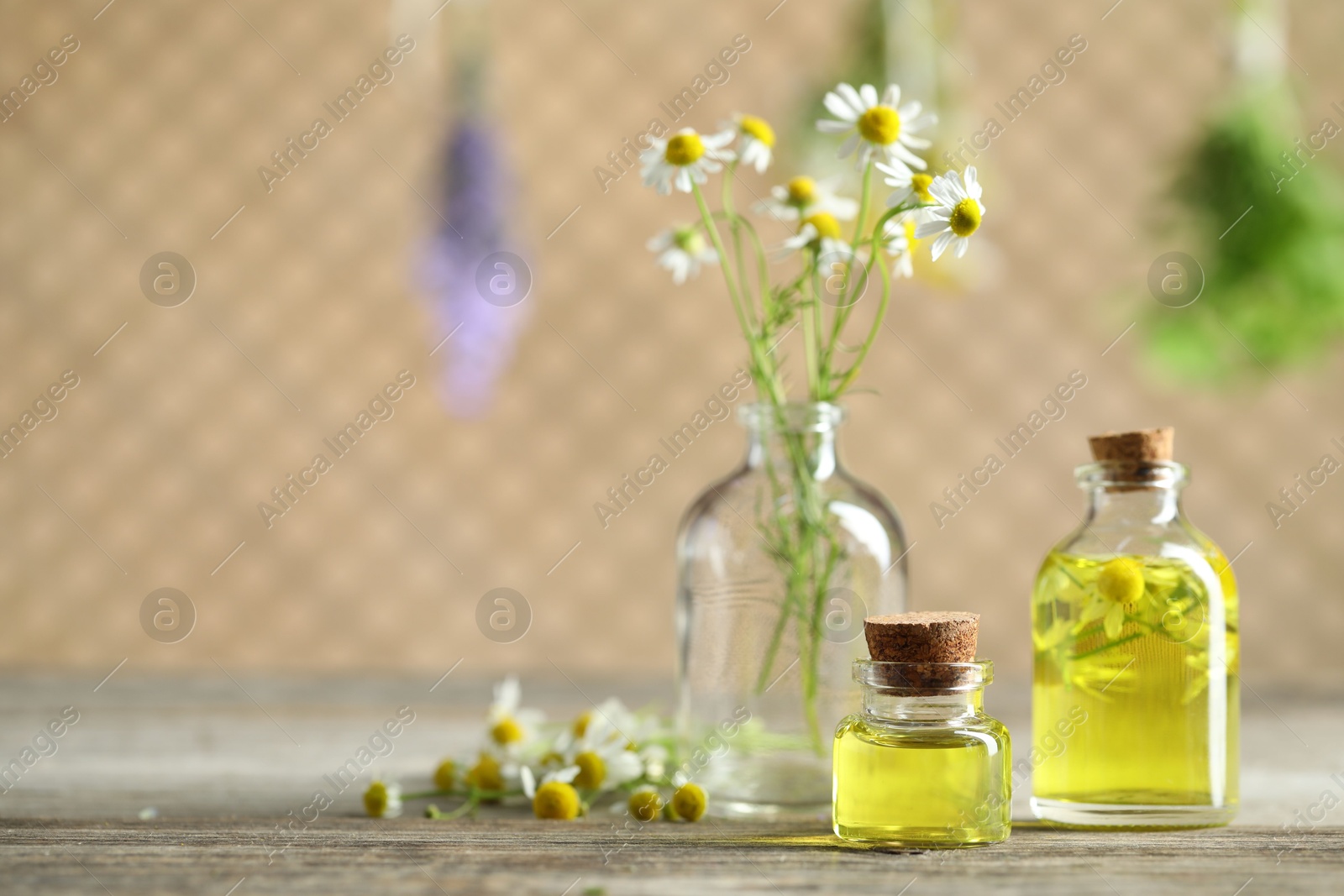 Photo of Beautiful chamomile flowers and bottles of essential oils on wooden table. Space for text