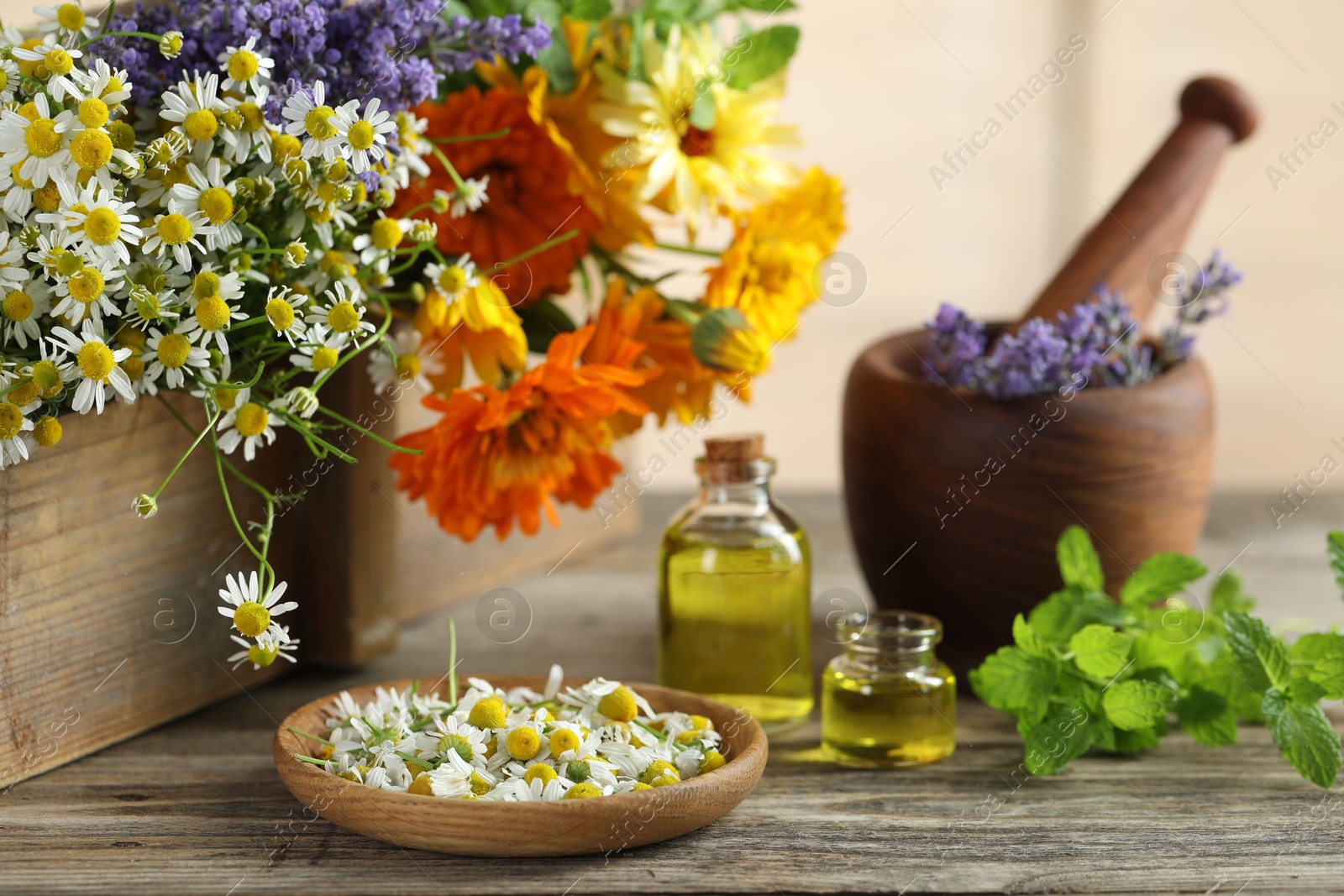 Photo of Different flowers, mint, bottles of essential oils, mortar and pestle on wooden table