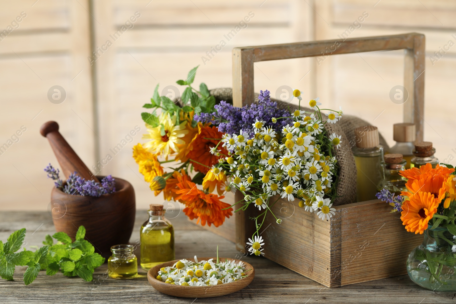 Photo of Different flowers, mint, bottles of essential oils, mortar and pestle on wooden table