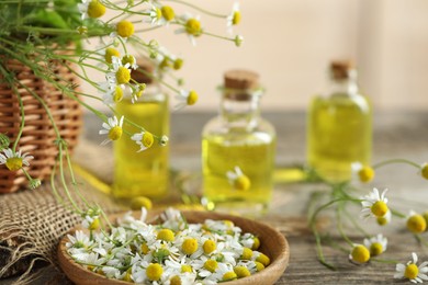 Beautiful chamomile flowers and bottles of essential oils on wooden table