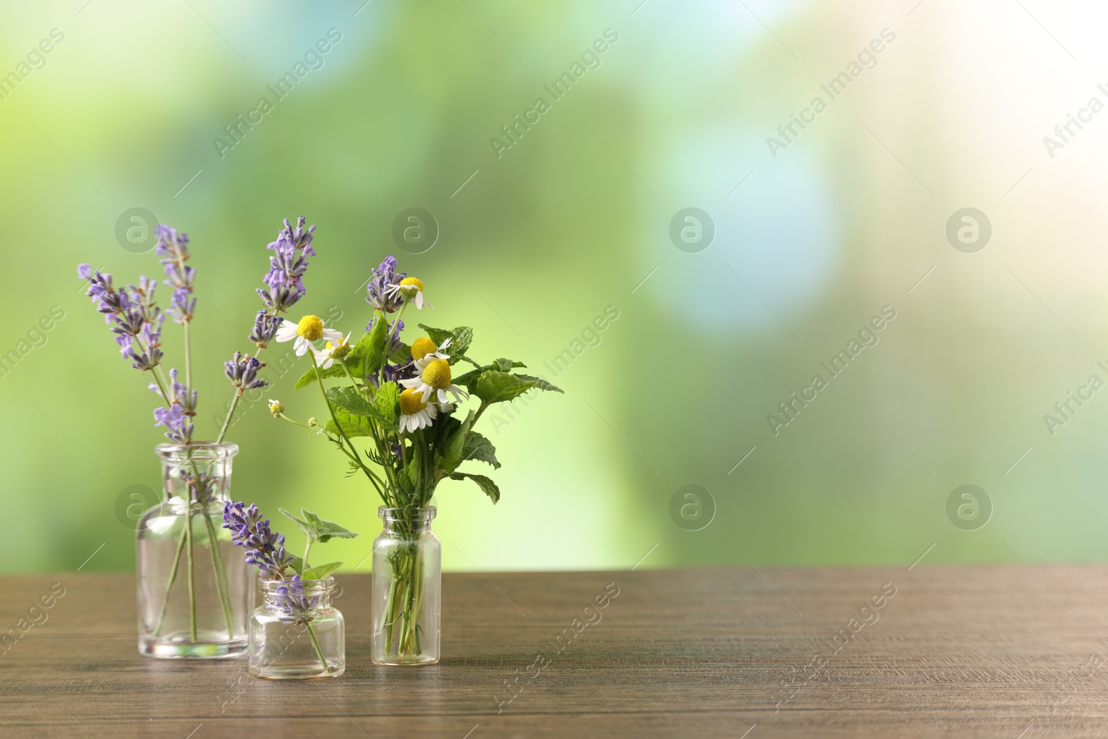 Photo of Different flowers in glass bottles on wooden table, space for text