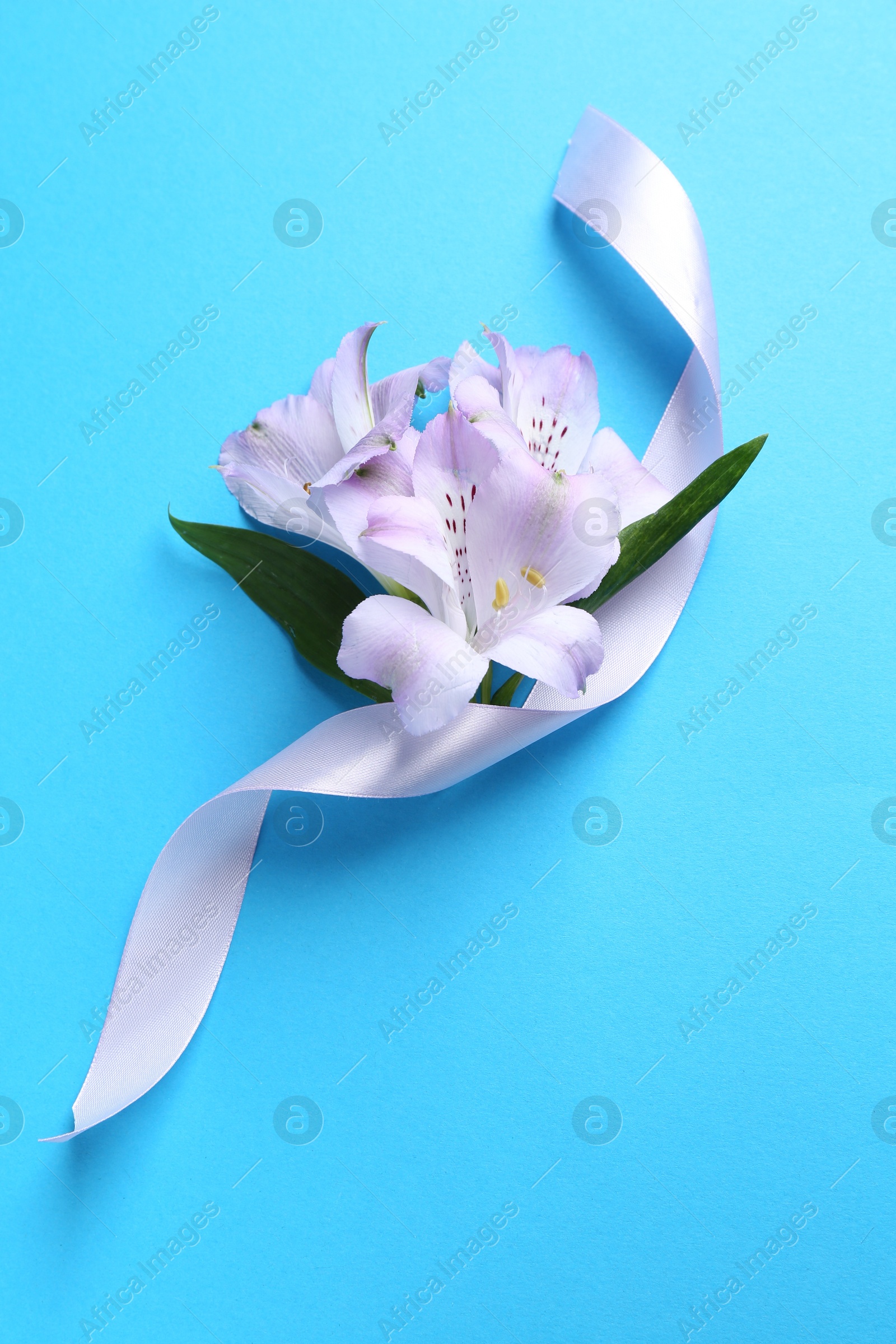 Photo of Beautiful alstroemeria flowers and ribbon on light blue background, top view