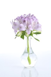 Photo of Beautiful violet alstroemeria flowers in vase isolated on white