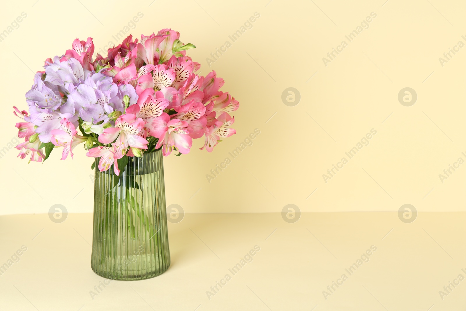 Photo of Beautiful alstroemeria flowers in vase on beige background, space for text