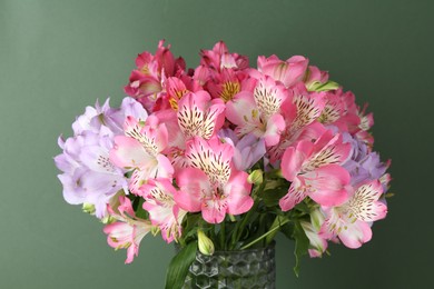 Photo of Beautiful alstroemeria flowers in vase on green background, closeup