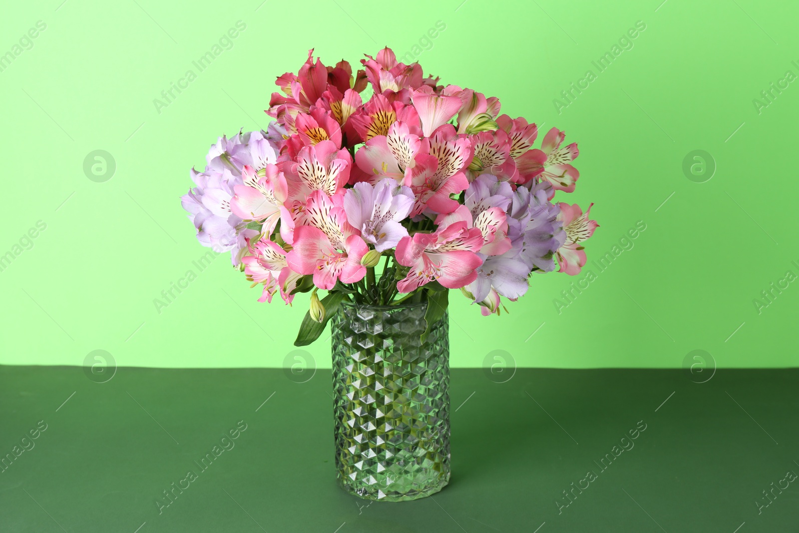 Photo of Beautiful alstroemeria flowers in vase on green background