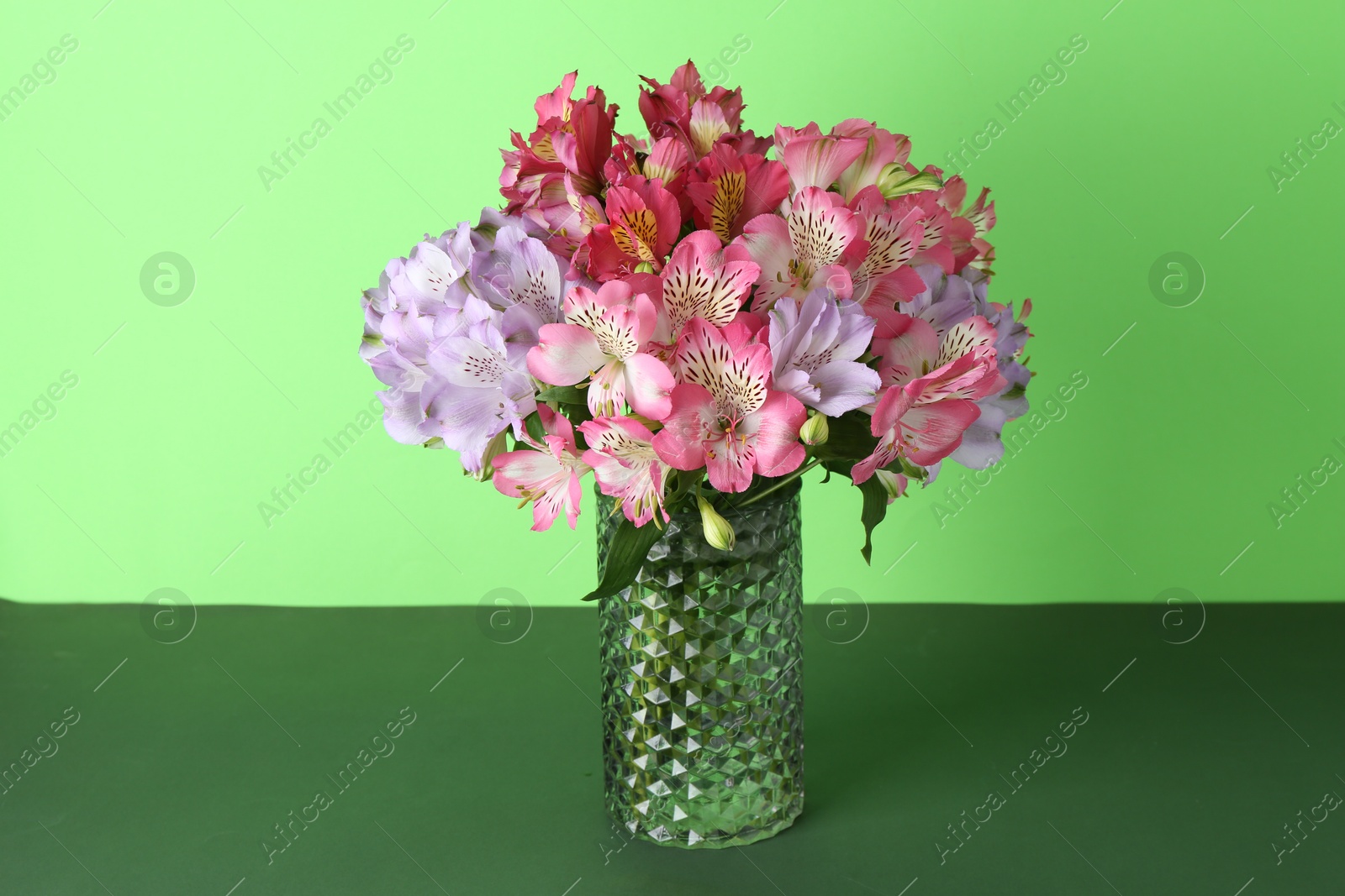 Photo of Beautiful alstroemeria flowers in vase on green background