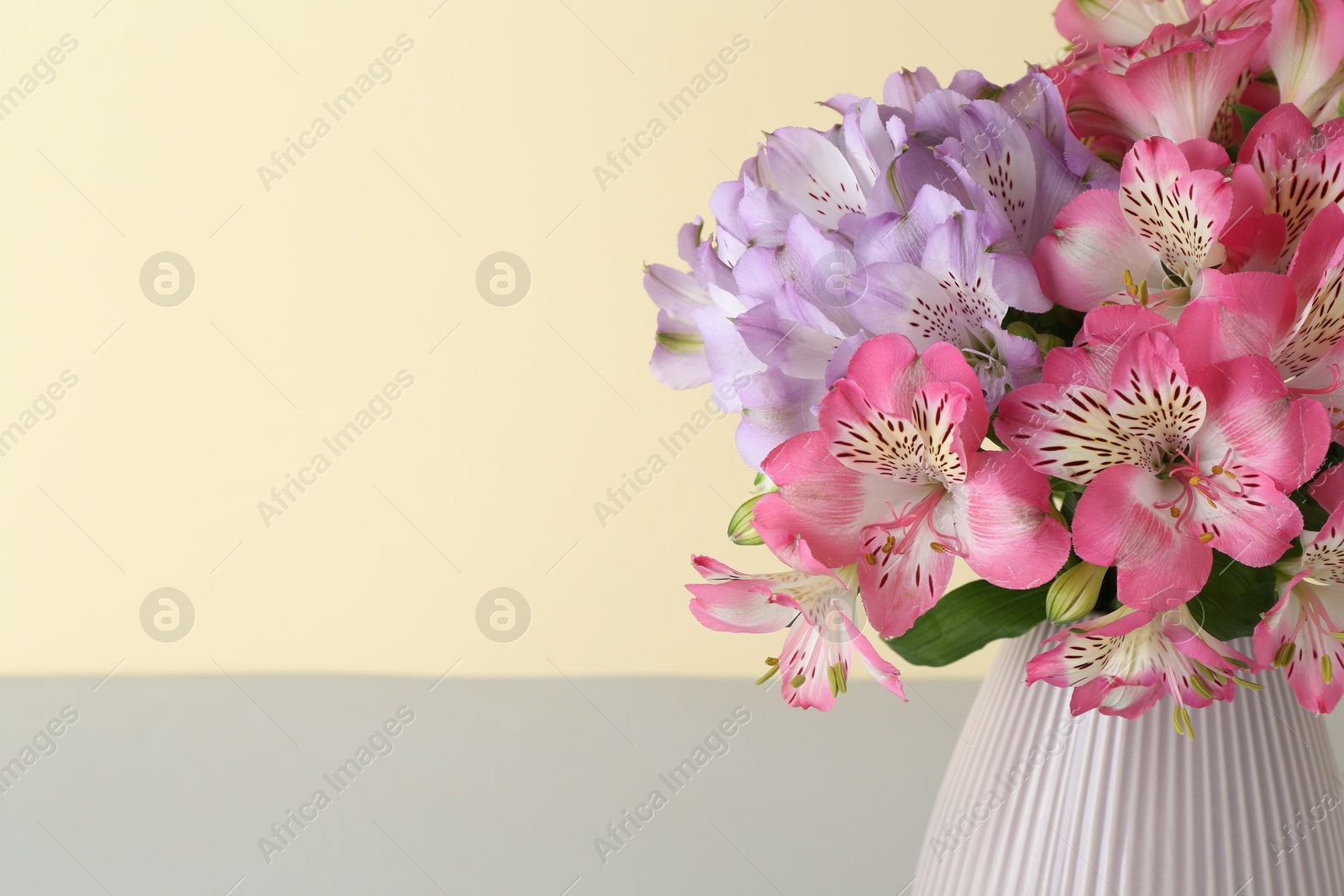 Photo of Beautiful alstroemeria flowers in vase on color background, closeup. Space for text